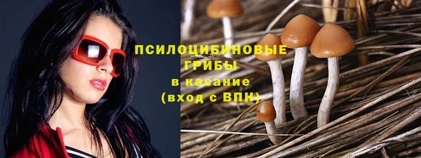 стафф Беломорск