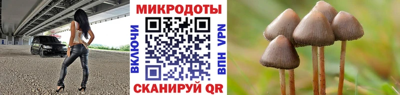 Галлюциногенные грибы мухоморы  Озёрск 